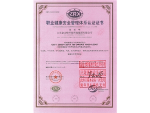 職業(yè)健康安全管理體系認(rèn)證證書