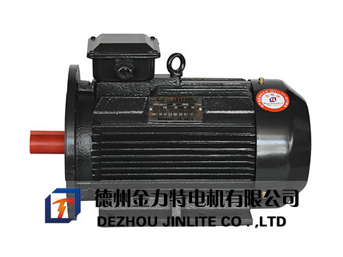 YE3系列超高效節(jié)能三相異步電動(dòng)機(jī)
